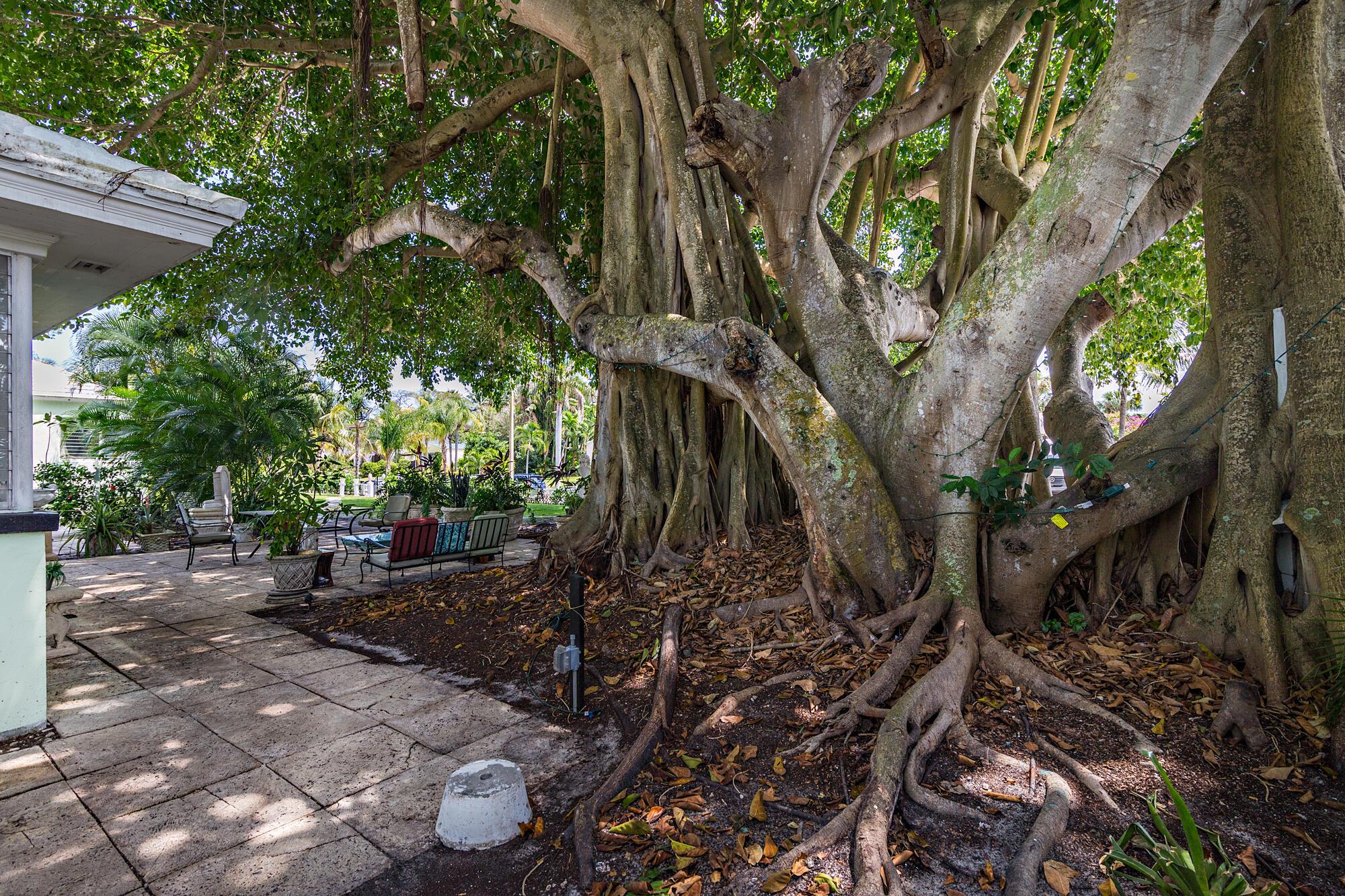 NORTH SHORE TERRACE PL NO - Residential