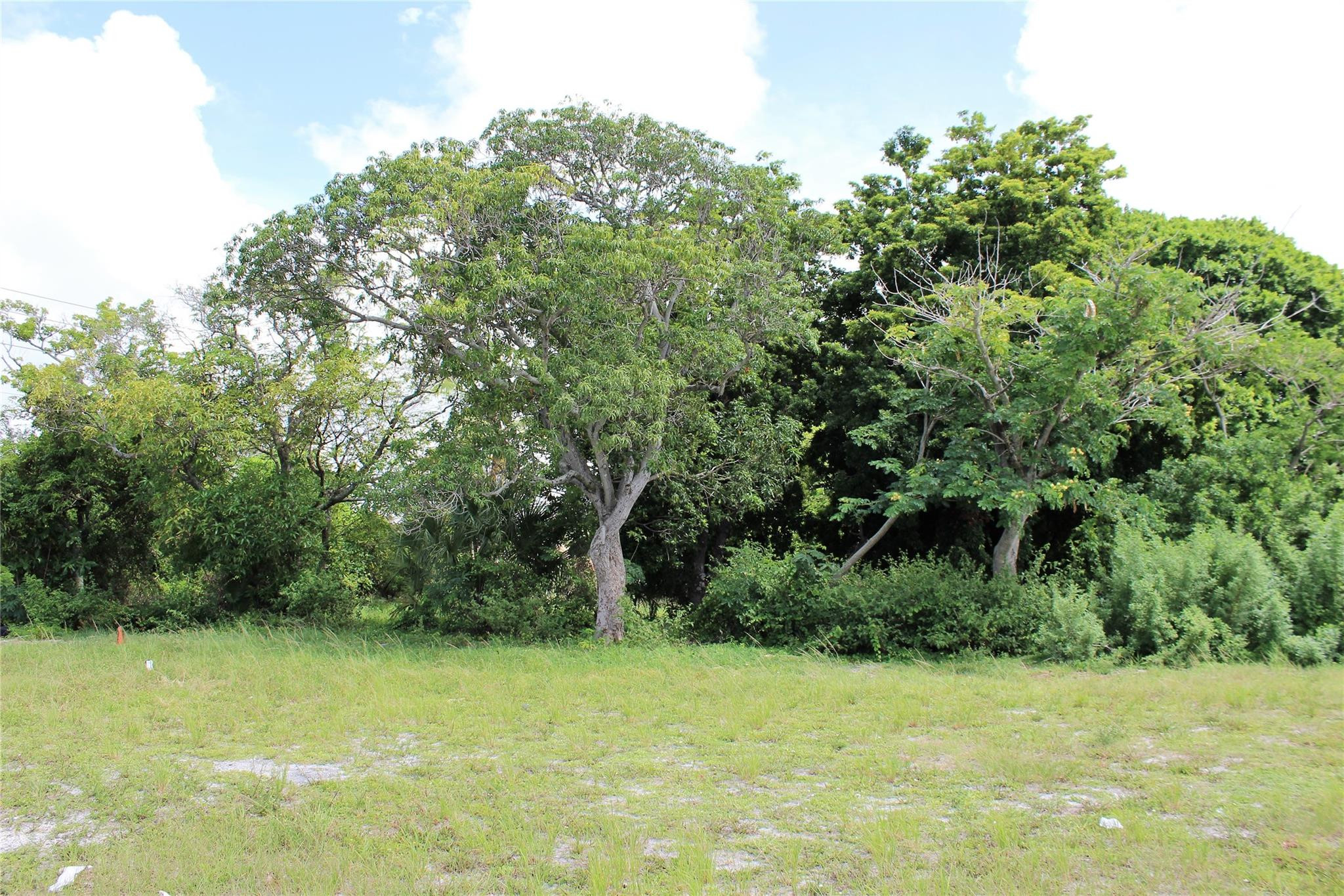 Carver Heights First Add - Land