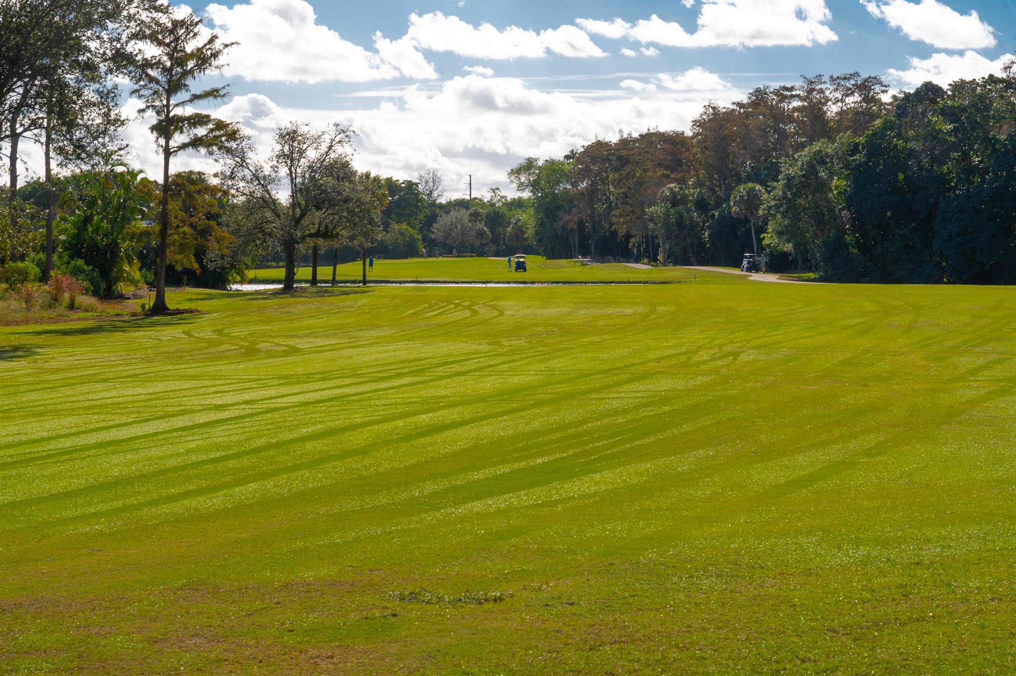 PALMS OF BOCA LAGO CONDO - Residential