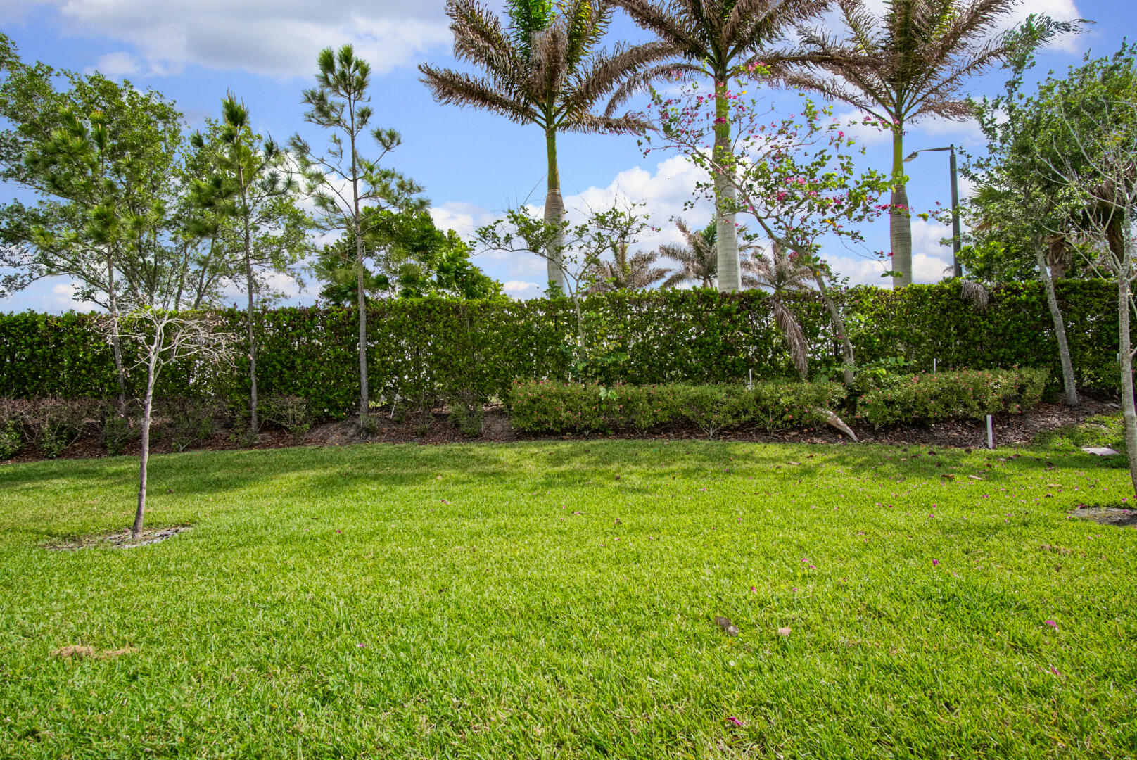 Manderlie - Residential