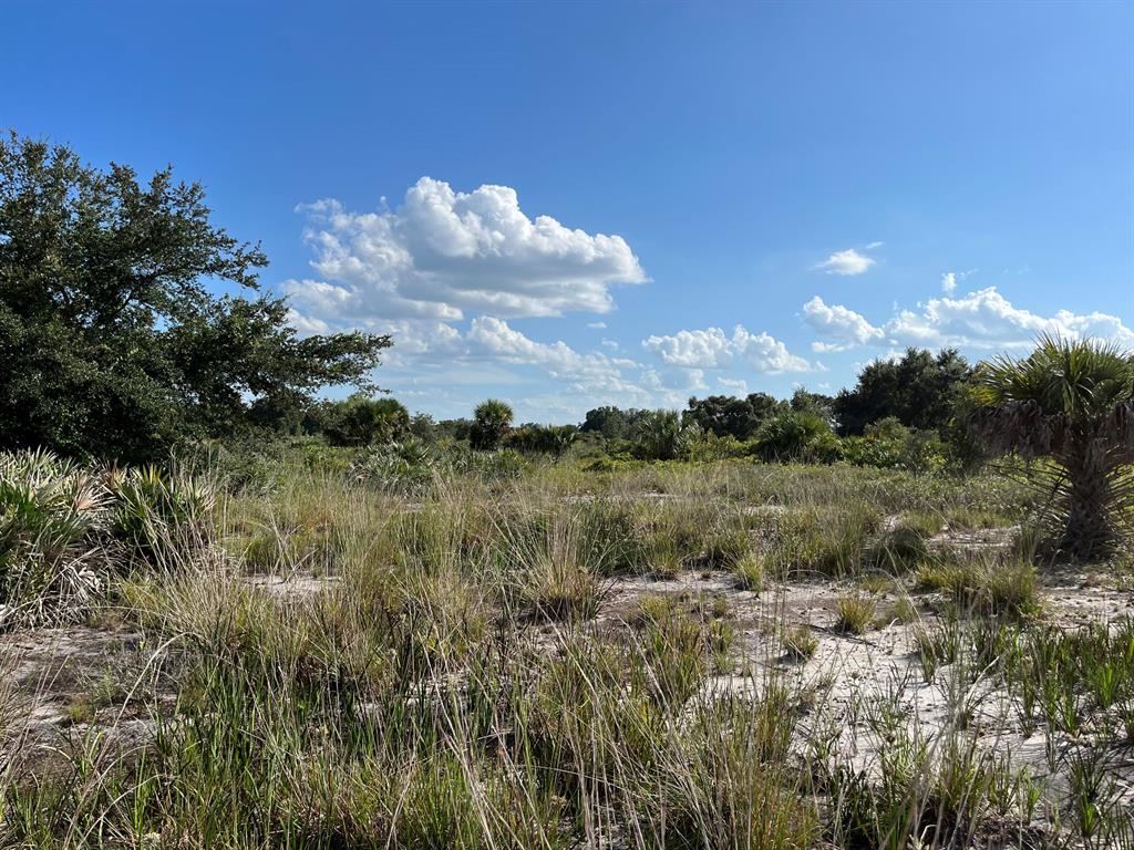 bring your dream home and barn on this beautiful and private high and dry 1.25 acre just off the main paved road. There are power poles on this street making it easy to get power to your new home. there is so much to enjoy in Okeechobee County. Come to The Kissimmee River Preserve State Park West of this area as well is the Kissimmee River. The Kissimmee River flows into Lake Okeechobee and is well known for some of the best fishing. whether you like Fishing, hunting, mudding agriculture or just privacy here you have it all. Owner Financing available