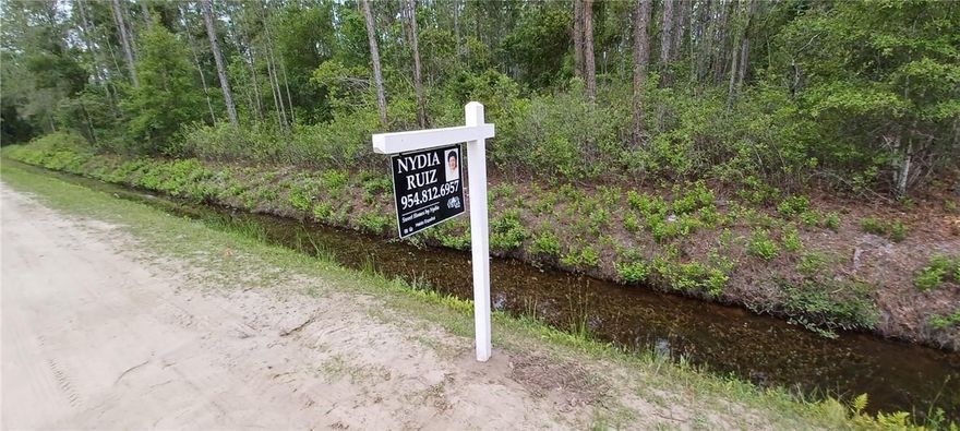 ***ACCORDING TO THE FEMA MAP, THIS 1.14 ACRE IS ONE OF THE FEW ACRES THAT IS LESS CAPABLE OF FLOODING IN THE AREA. SO, IF YOUR BUYER IS LOOKING TO OWN A PIECE OF THE AMERICAN DREAM, IN AN, UP AND COMING AREA, THEN THIS GREAT 1.14 ACRE IS A PIECE OF LAND, YOUR BUYER SHOULD REALLY CONSIDER. CLOSE TO THE HISTORIC CITY OF ST. AUGUSTINE AND BEACHES, AND NOT FAR FROM THE PALM COAST AND NOT TOO FAR FROM DISNEY WORLD, THE HOME OF OUR FAMOUS MINNIE AND MICKEY...AS PER COUNTY RECORDS, THE AREA IS ZONED X******THE LAND AND AREA OFFERS SO MUCH FLEXABILITY FOR THE NEW OWNER. PRICED UNDER WHAT NEARBY ACRES HAVE SOLD FOR...ST JOHN'S COUNTY HAS SO MUCH TO OFFER .TO OFFERS!!!