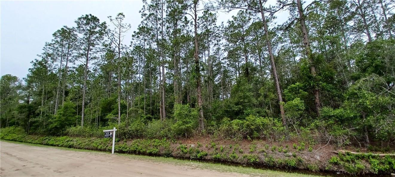 Flager Estates - Land