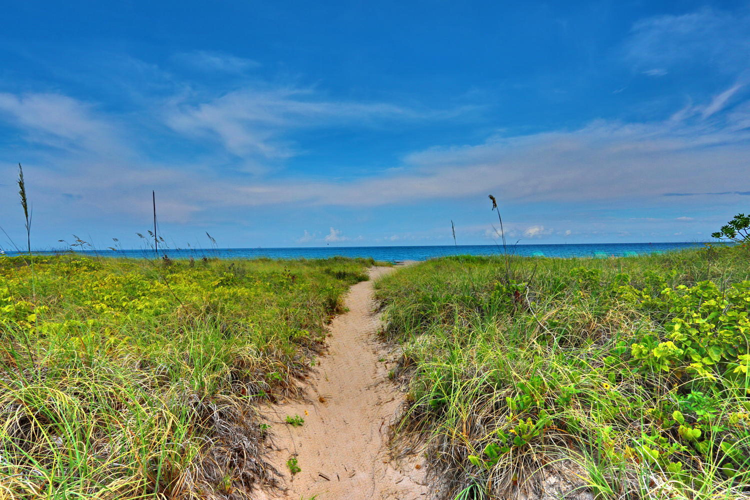 MAYAN TOWERS CONDO 1 - Residential Lease