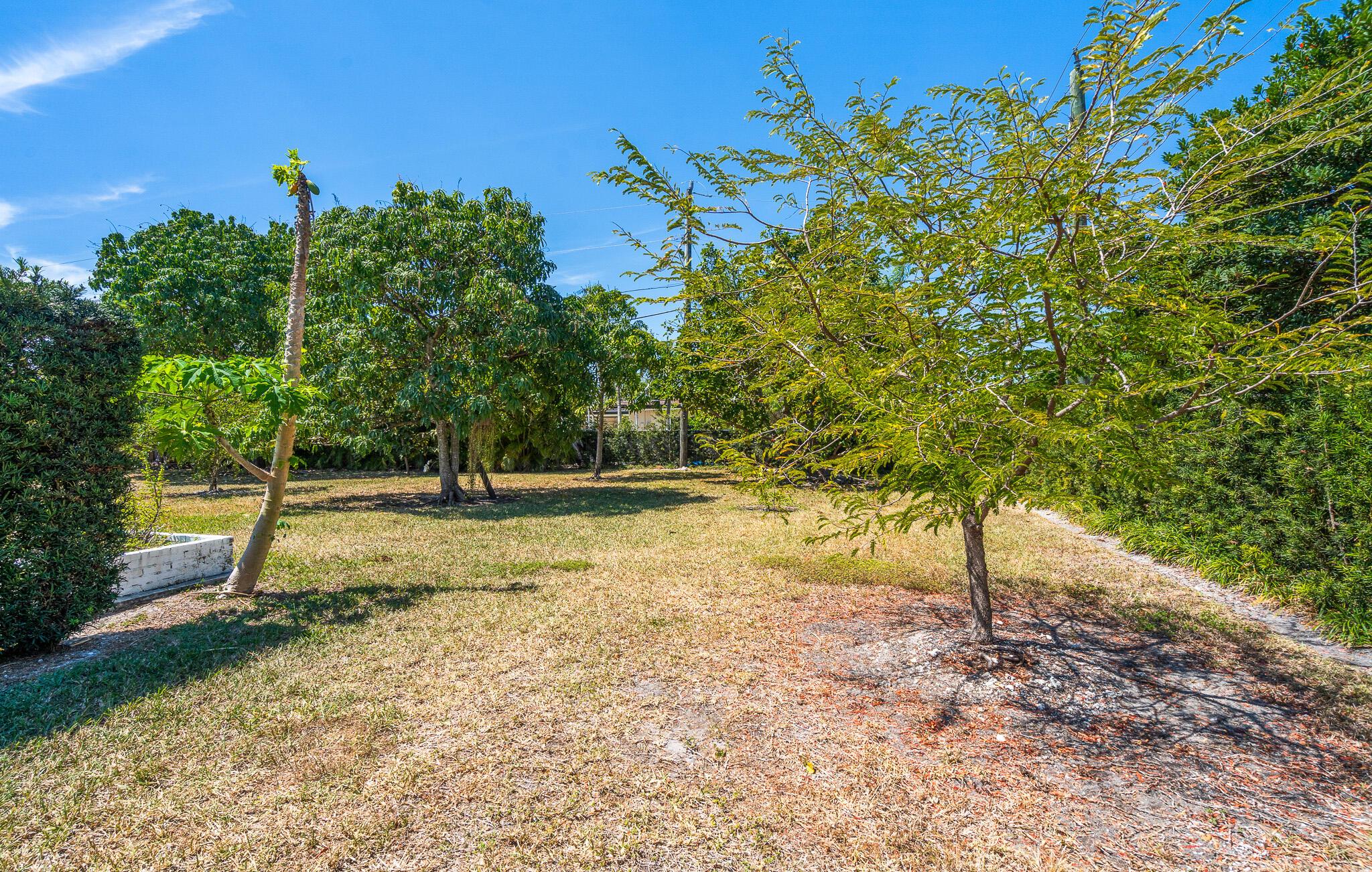 THE BANYAN DRIVE ESTATES - Residential