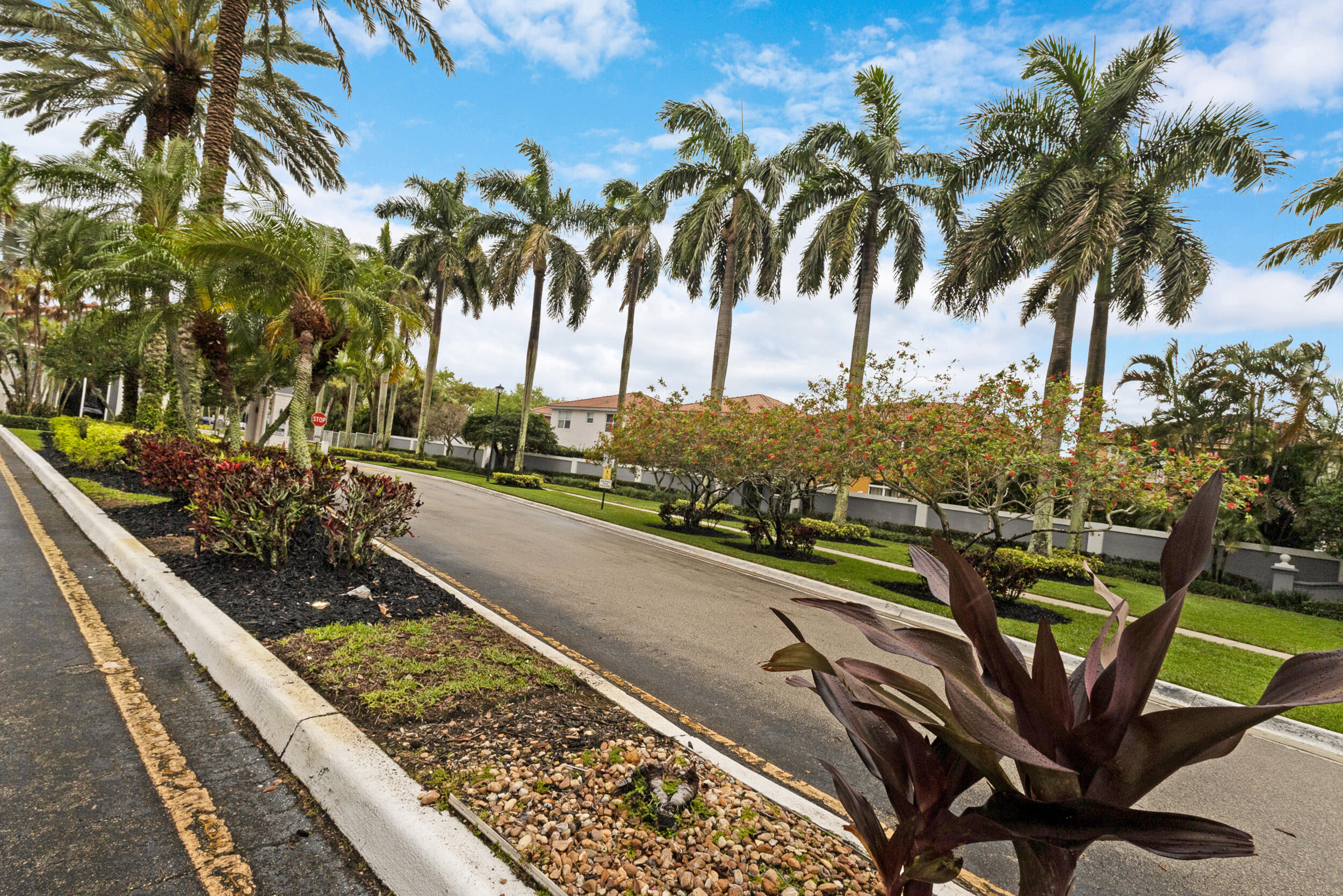 MAPLE RIDGE - Residential