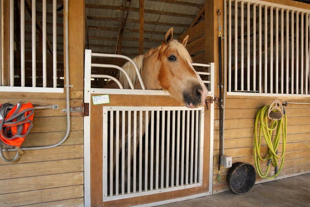 Photo of 2141 B Road, Loxahatchee Groves, FL 33470 (MLS # R11158134)