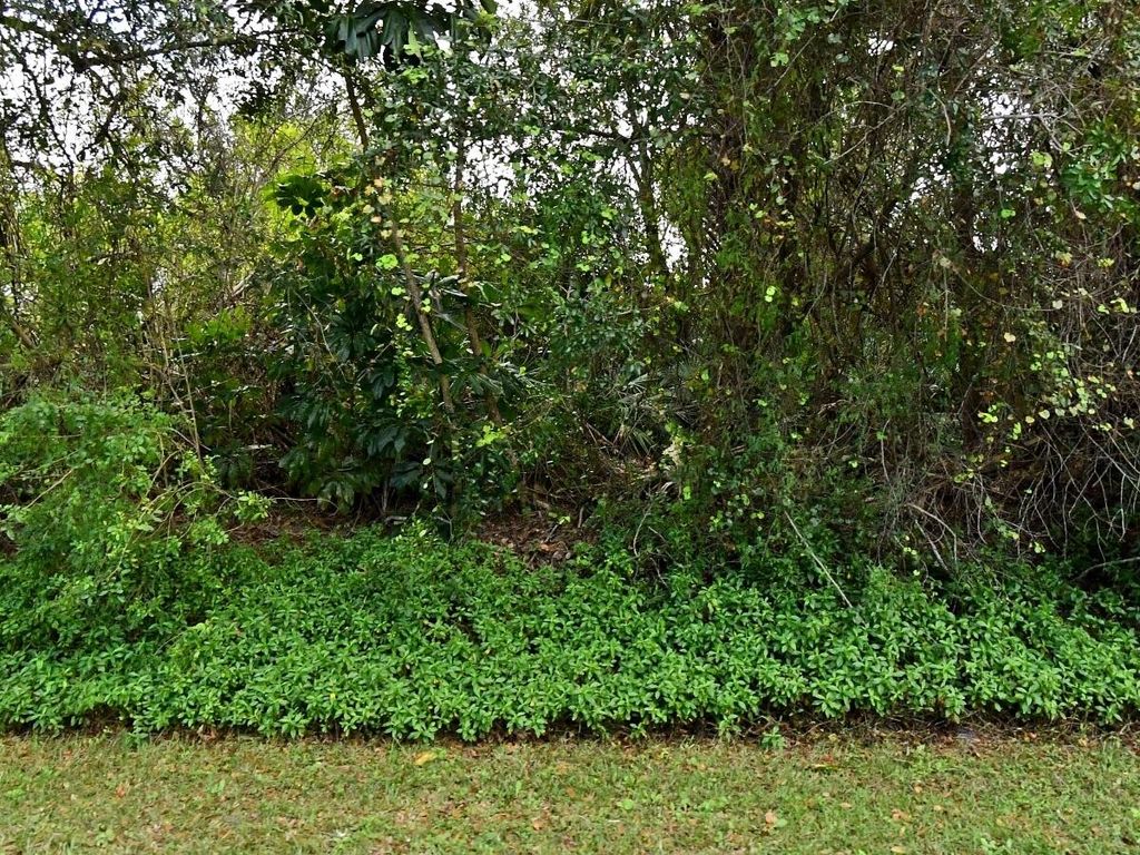 Photo of 7205 Brookline Avenue, Fort Pierce, FL 34951 (MLS # R11031790)