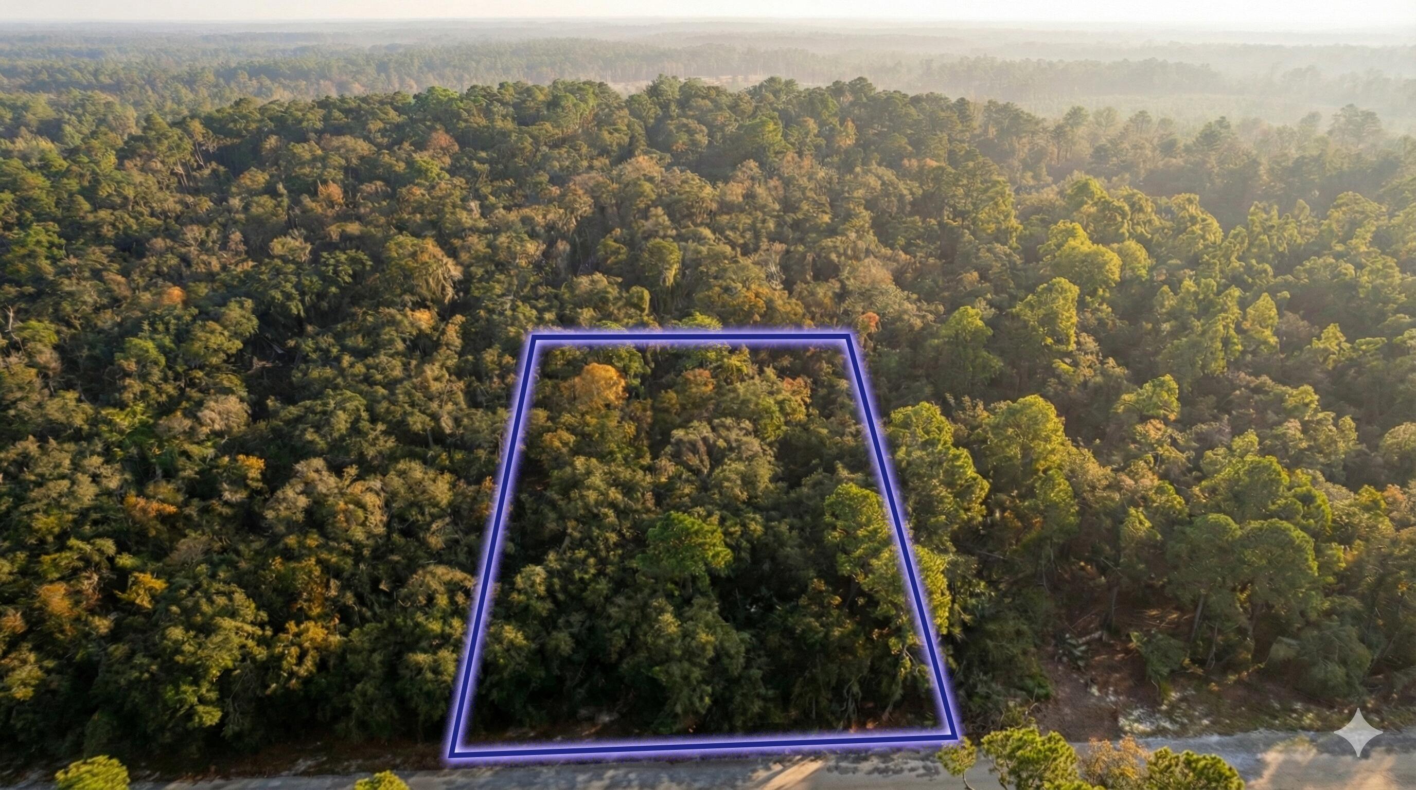 Flagler Estates - Land