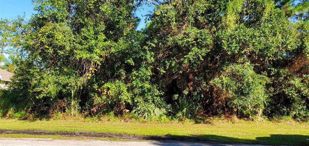 Photo of 1861 SW Glenco Street, Port Saint Lucie, FL 34953 (MLS # R10758690)