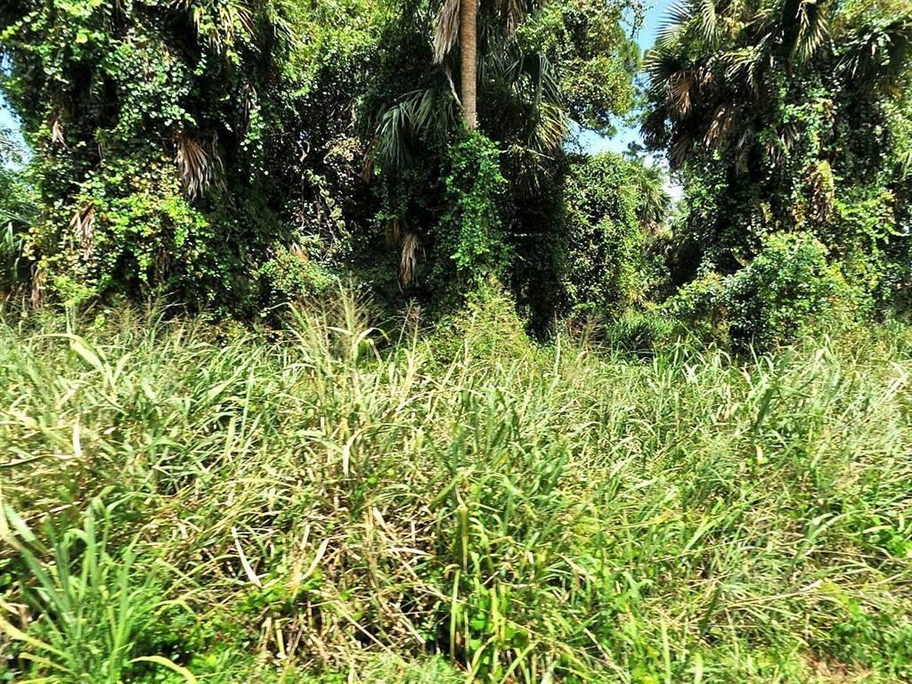 Photo of 0 San Deigo Avenue, Fort Pierce, FL 34950 (MLS # R10695028)