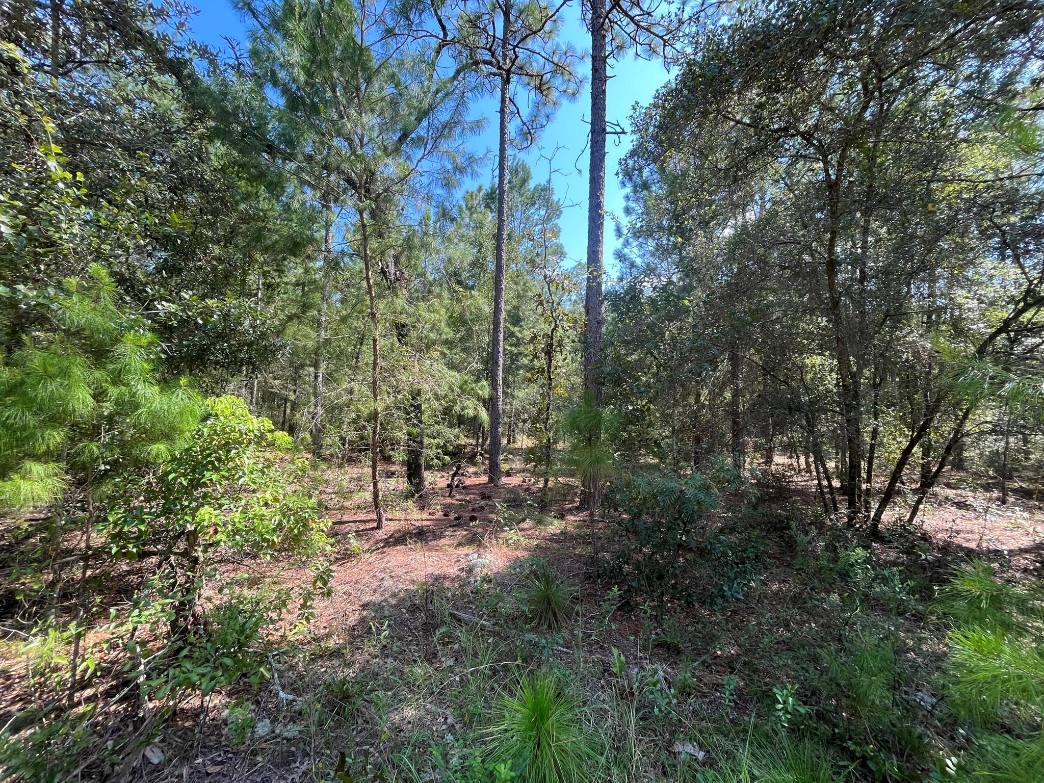 HIGHRIDGE ESTATES - Land