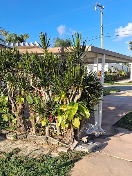 Tropical Breeze Estates - Residential