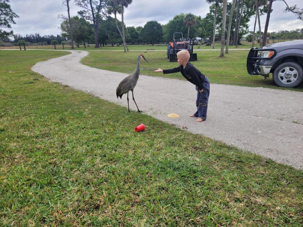 INDIAN RIVER FARMS COMPANY - Residential