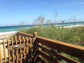 2355 NE Ocean Boulevard 24-B