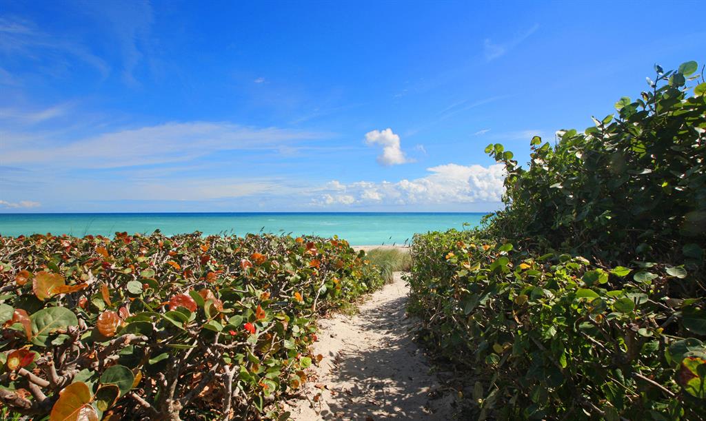 ALICANTE - Residential