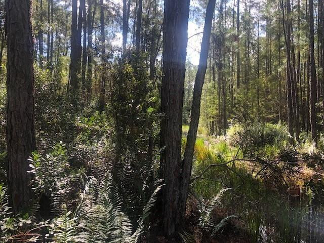 Opp170 Orlando Pines - Land