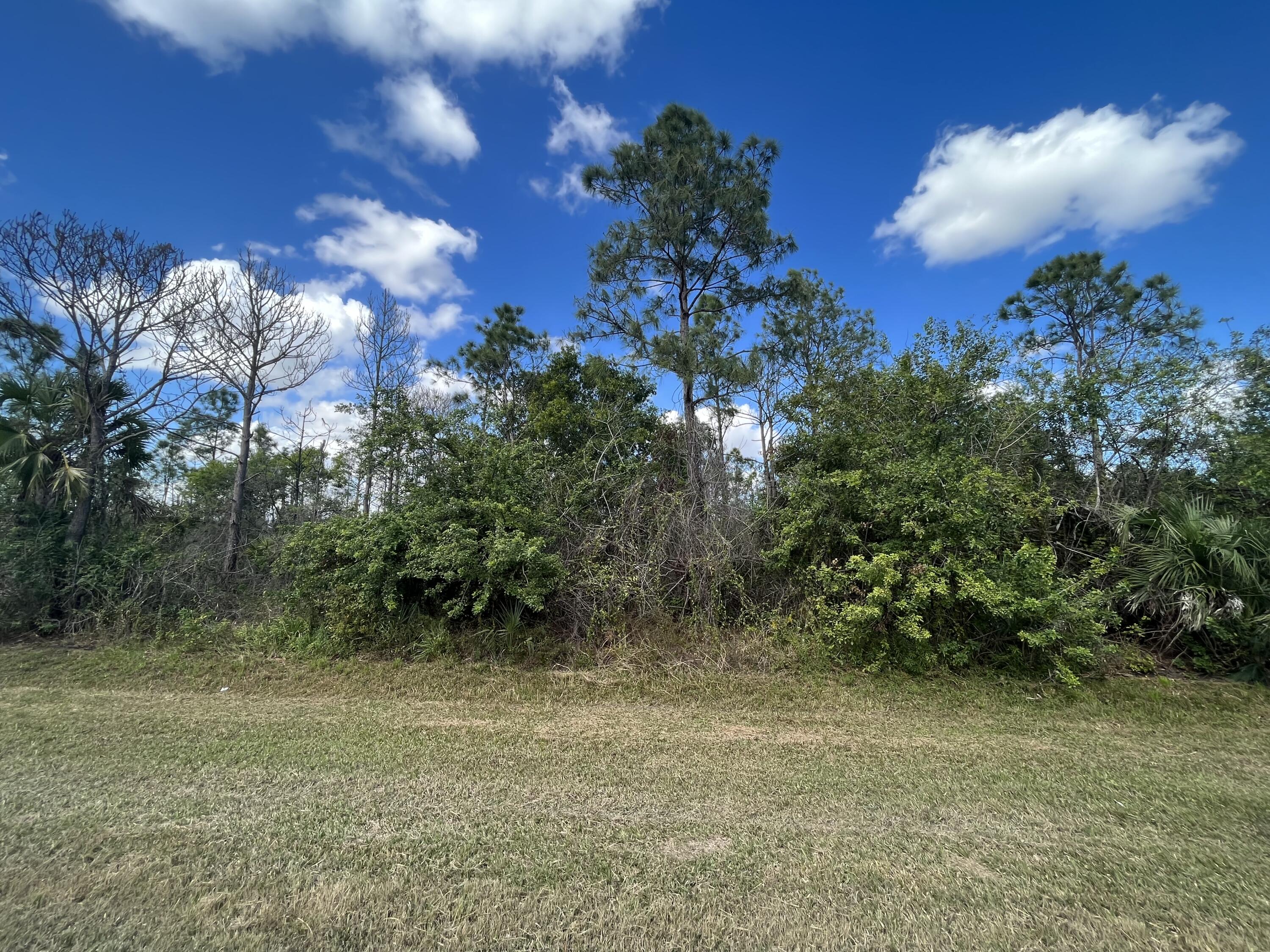 MONTURA RANCH UNREC SEC 3 - Land