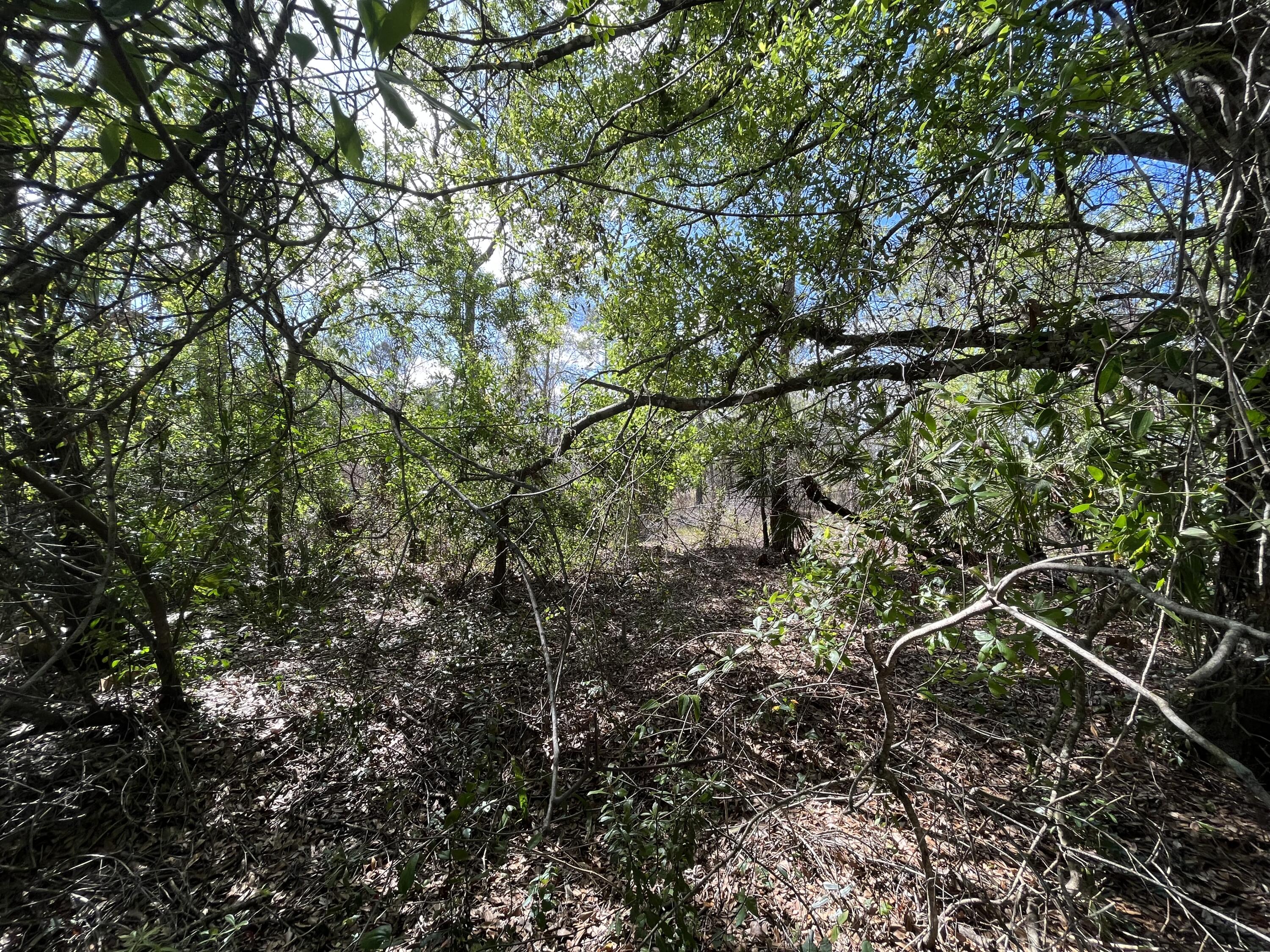 MONTURA RANCH UNREC SEC 3 - Land