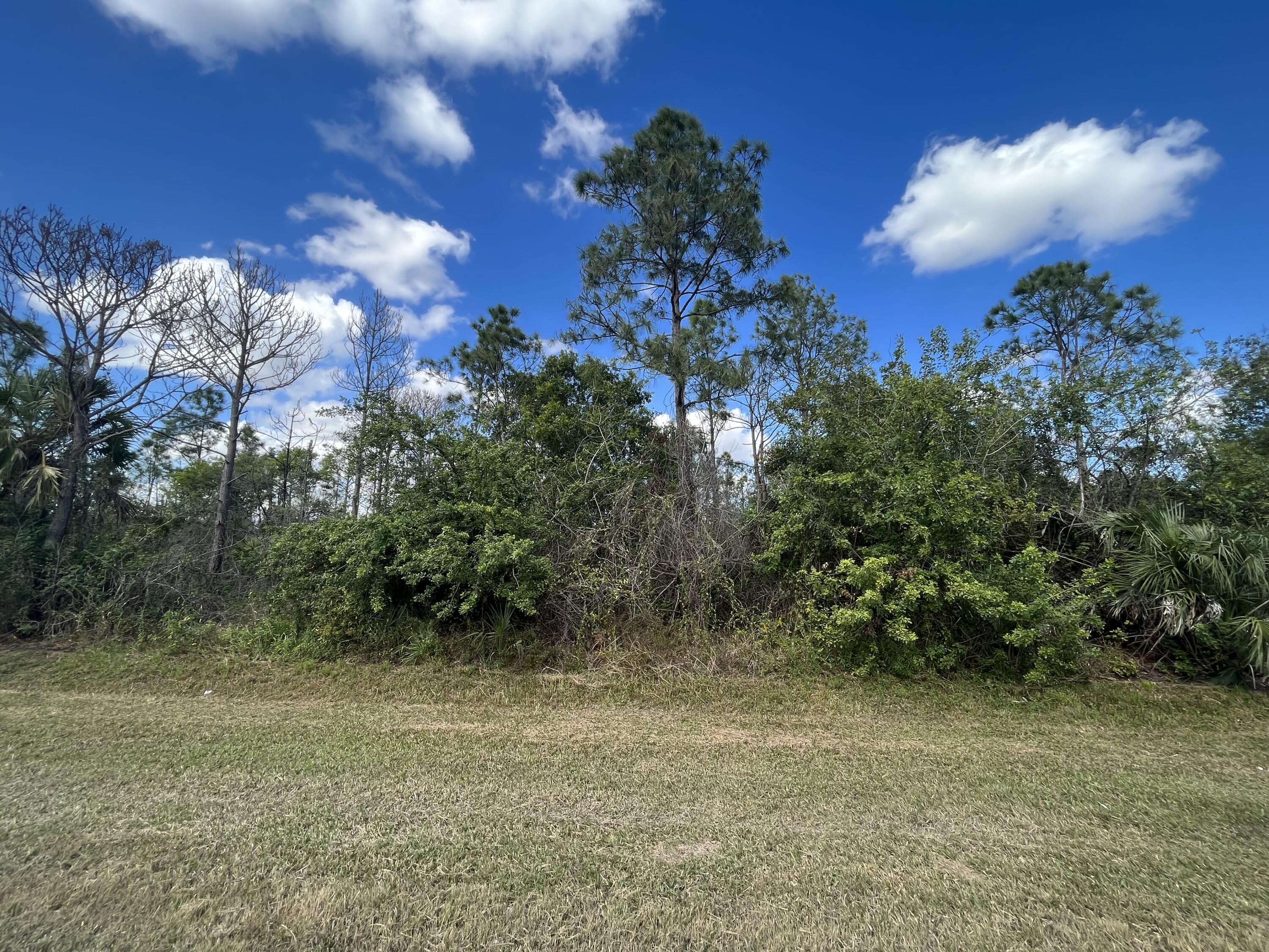 MONTURA RANCH UNREC SEC 3 - Land