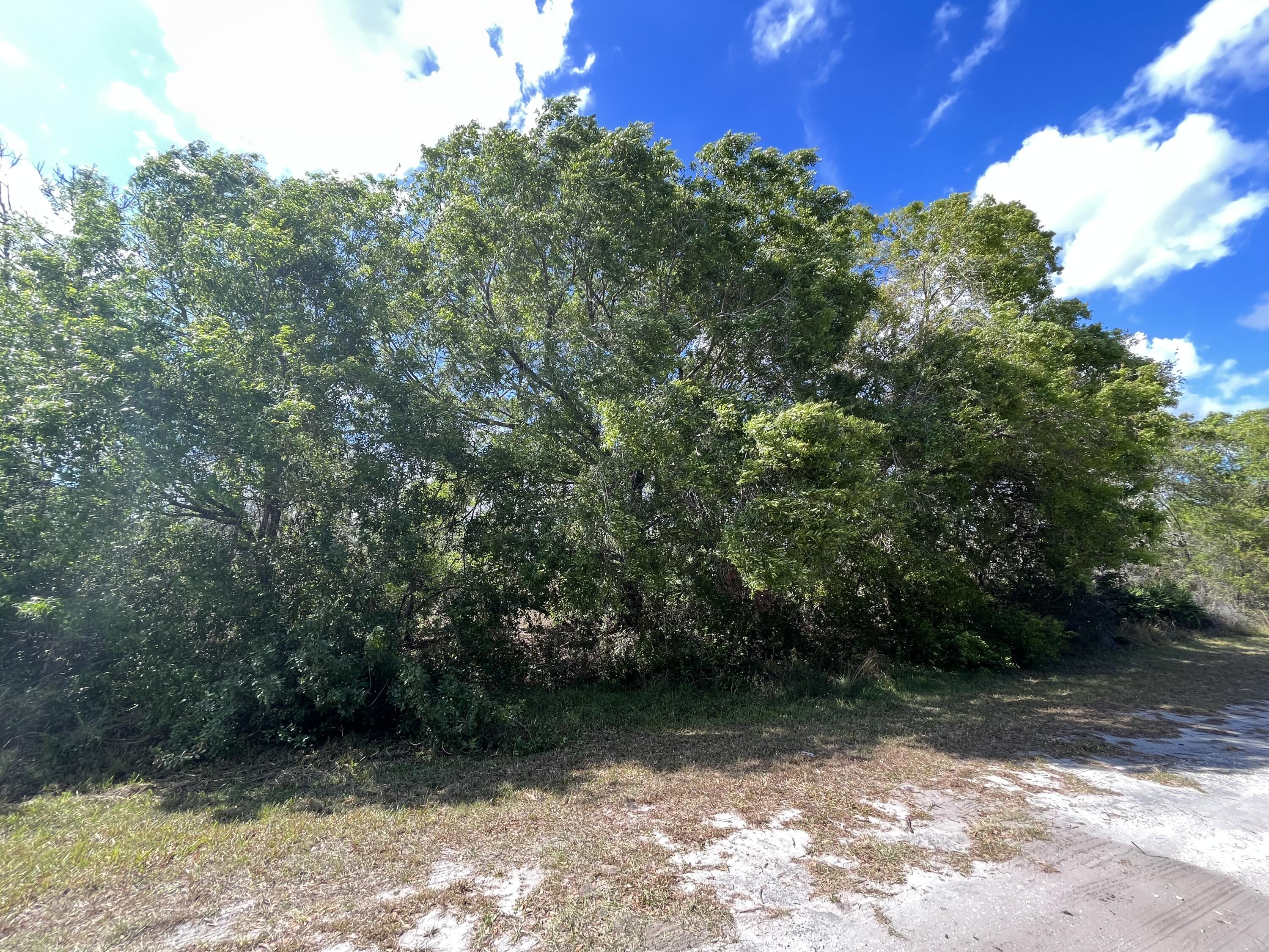 MONTURA RANCH UNREC SEC 3 - Land