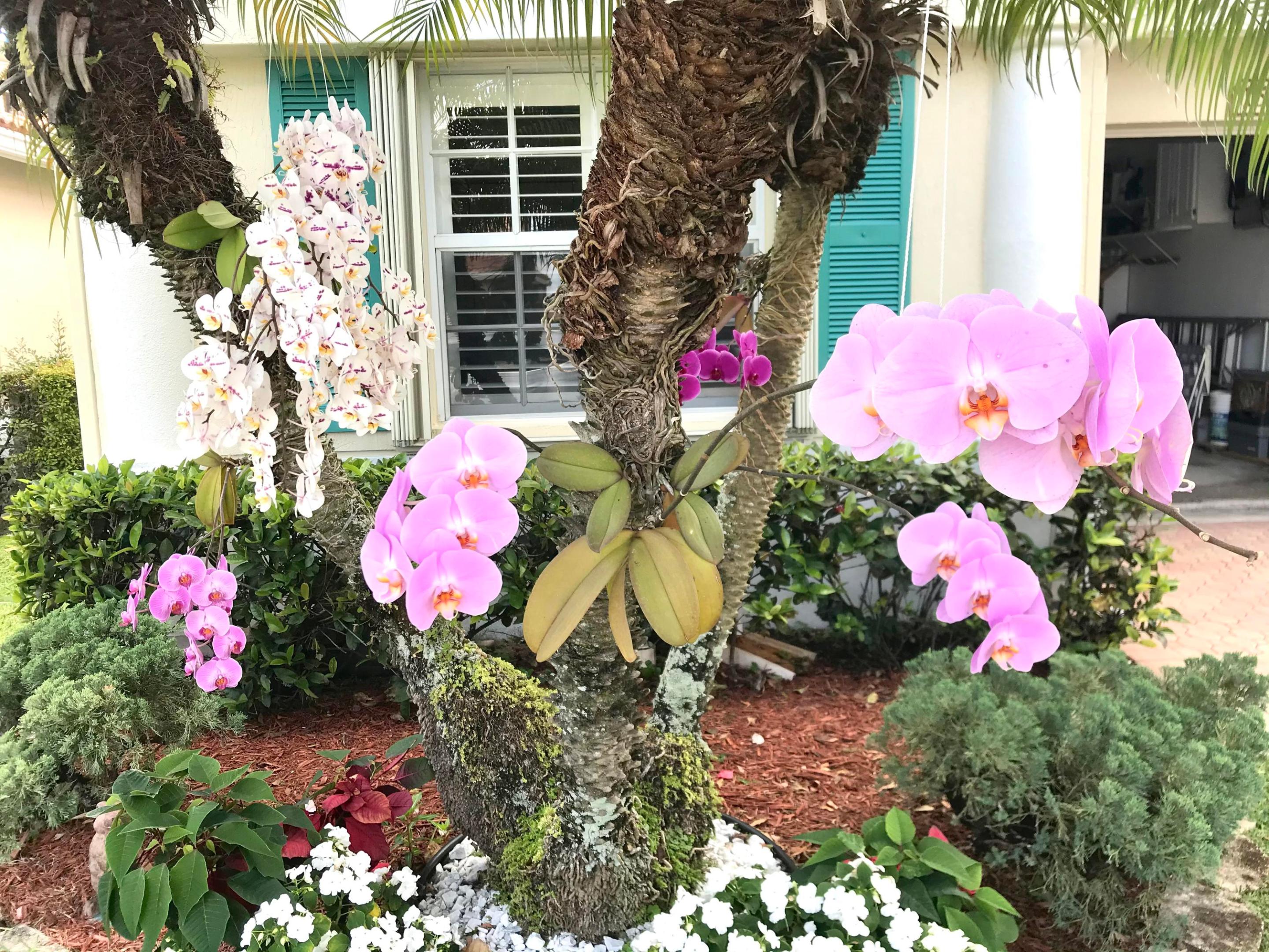 FLORAL LAKES - Residential