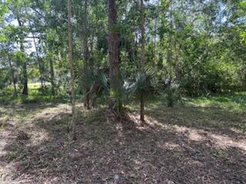 Photo of 0 129th Avenue N, Royal Palm Beach, FL 33411 (MLS # R11112581)