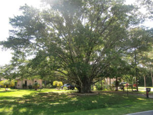 Jupiter Farms - Residential