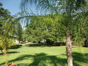 Jupiter Farms - Residential