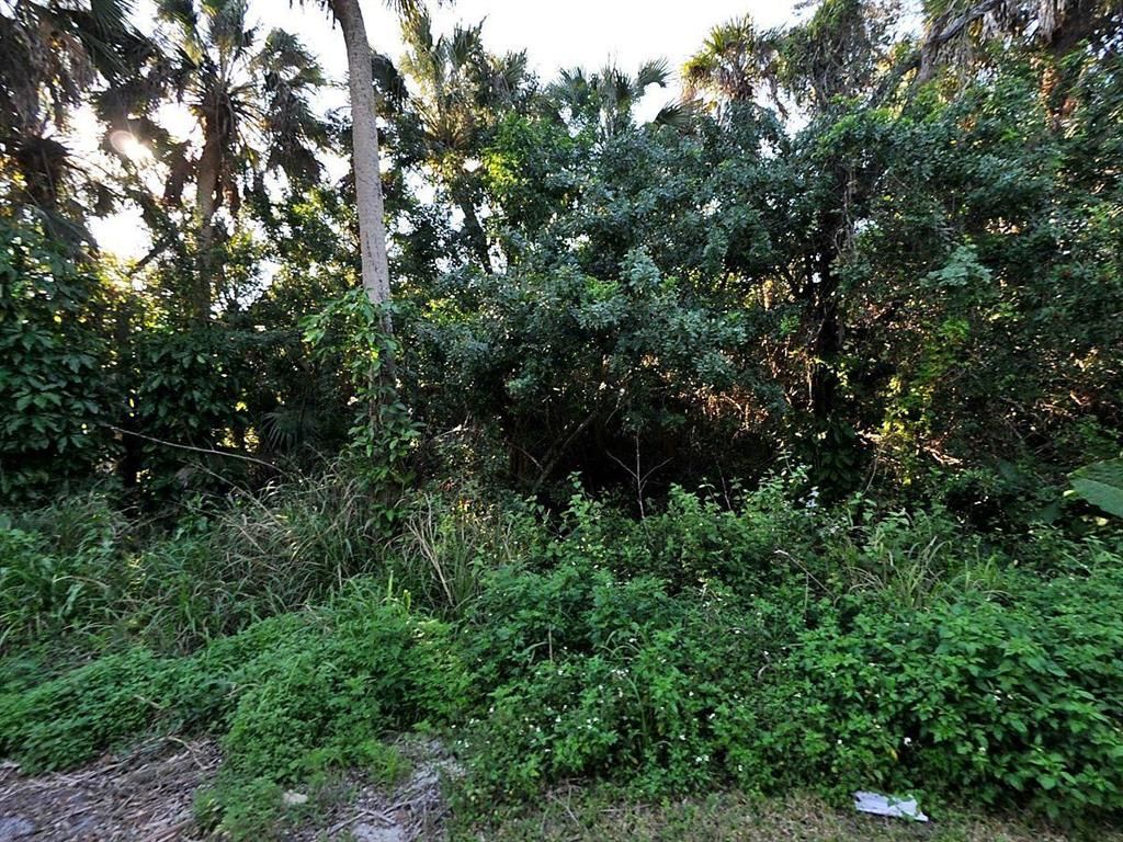 Photo of 0 E Wilderness E Drive E, Fort Pierce, FL 34982 (MLS # R10680476)