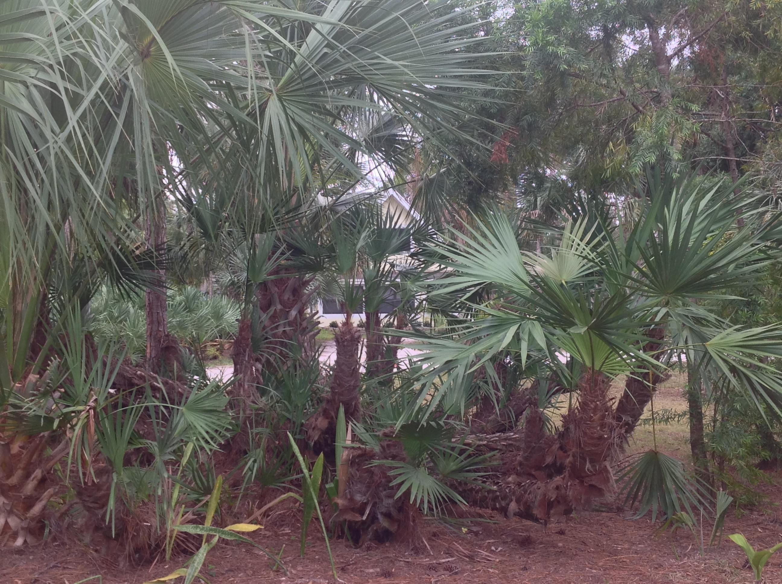 Jupiter Farms - Residential