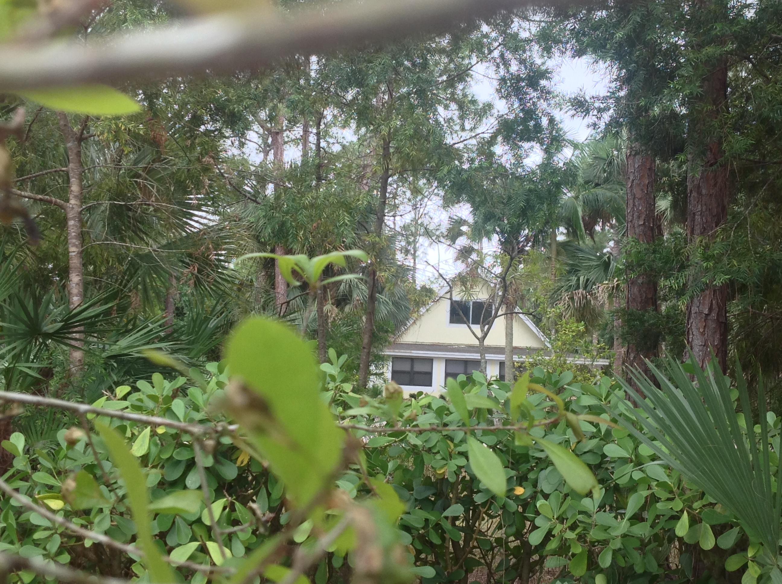 Jupiter Farms - Residential