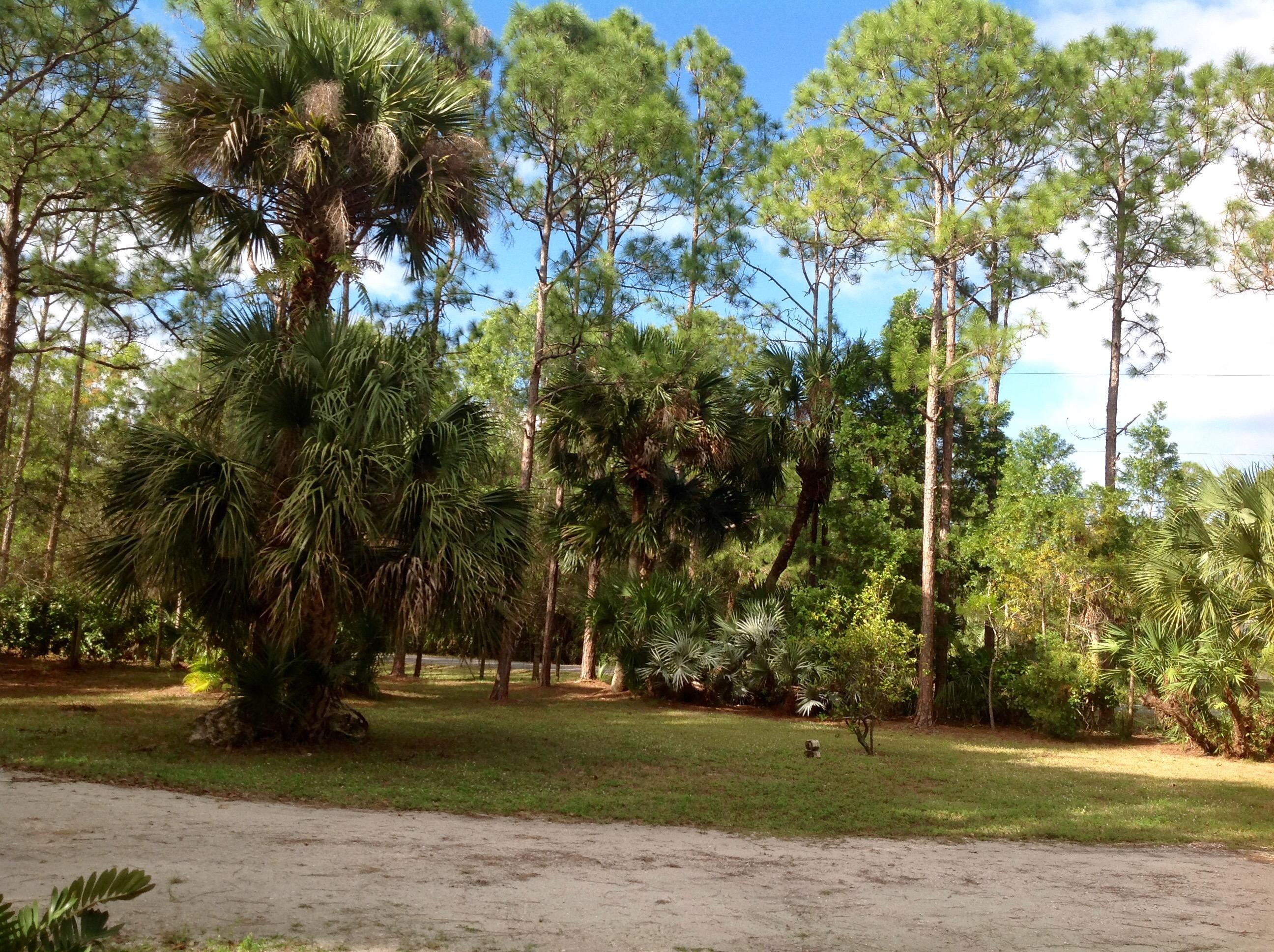 Jupiter Farms - Residential