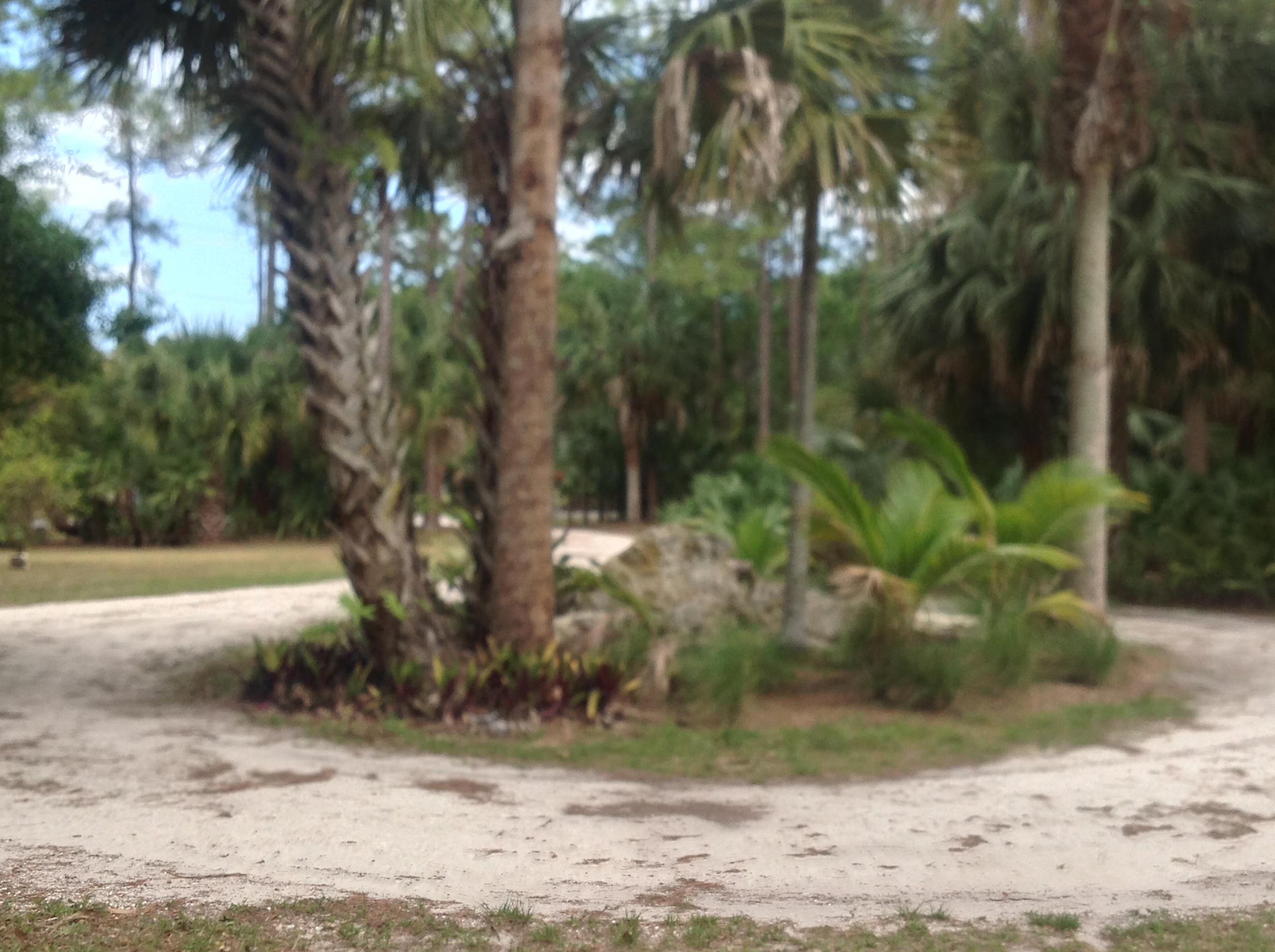 Jupiter Farms - Residential