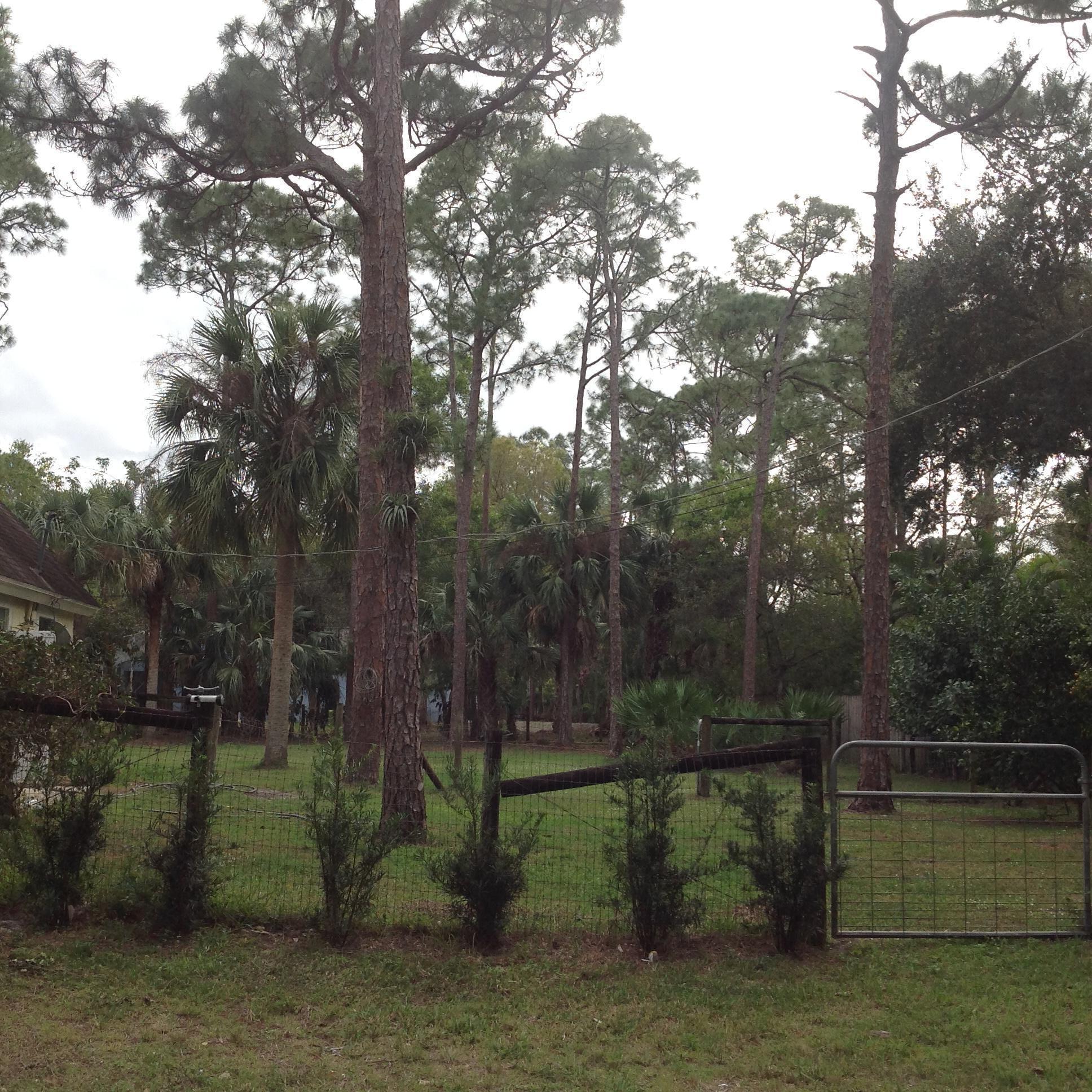 Jupiter Farms - Residential