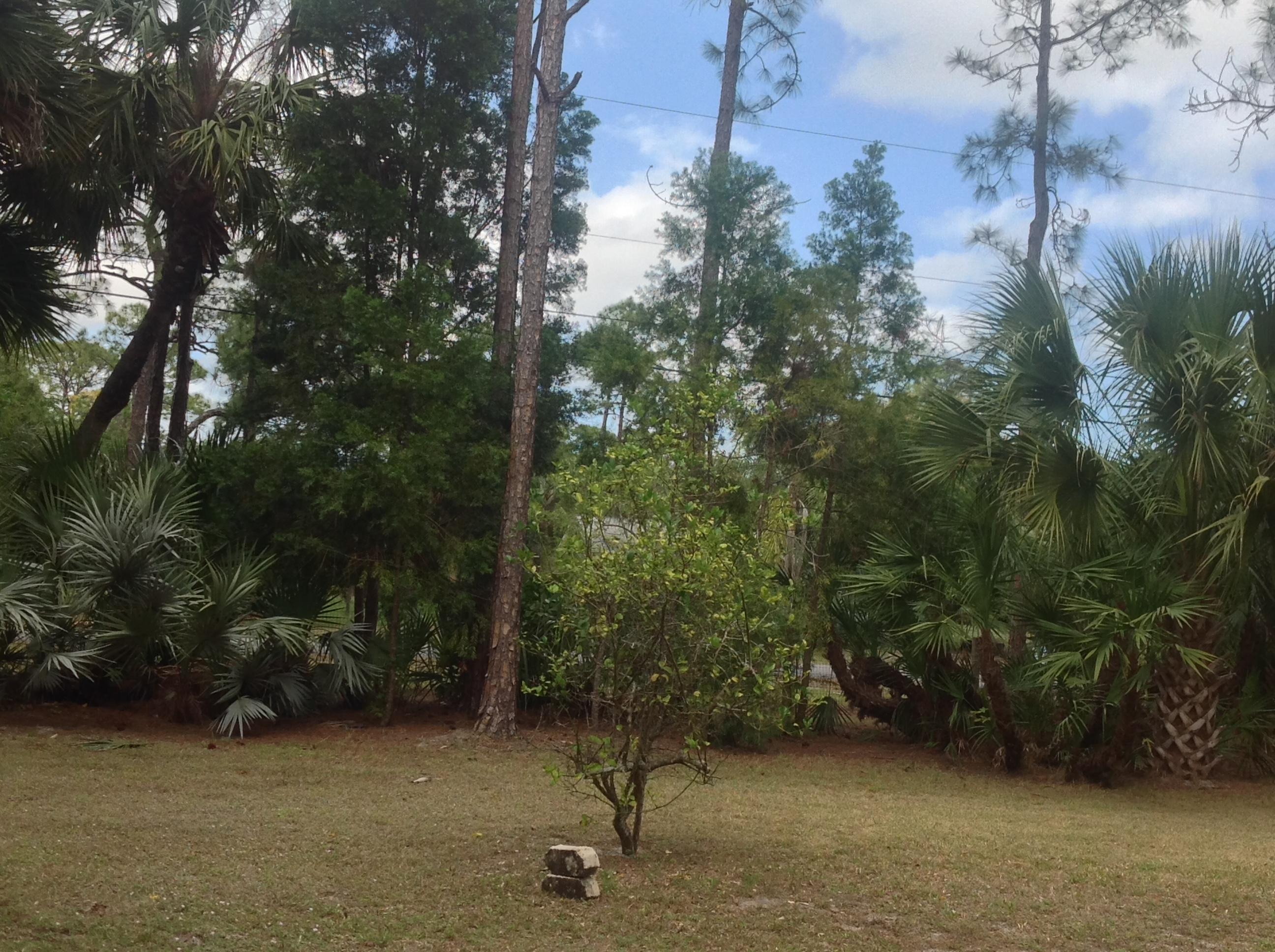 Jupiter Farms - Residential