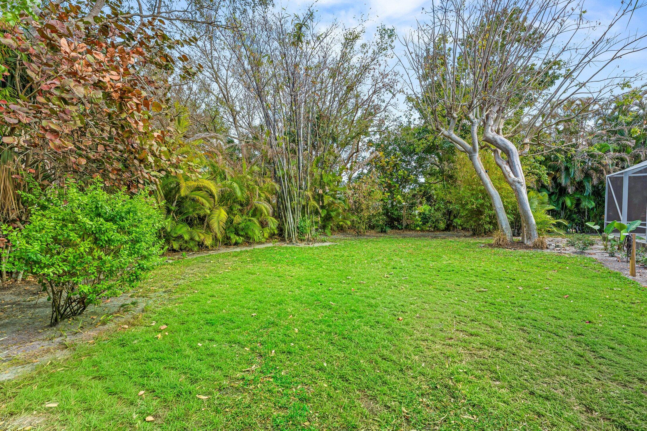 The Reef in Rocky Point - Residential