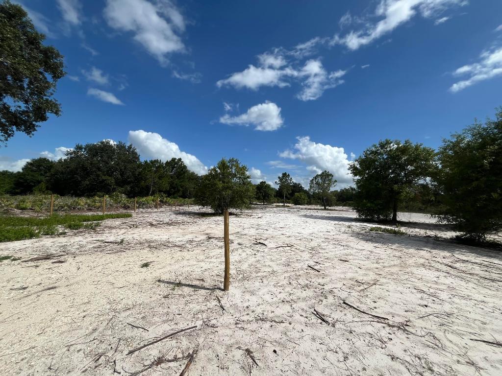 SOUTHERN COLONIZATION CO - Land