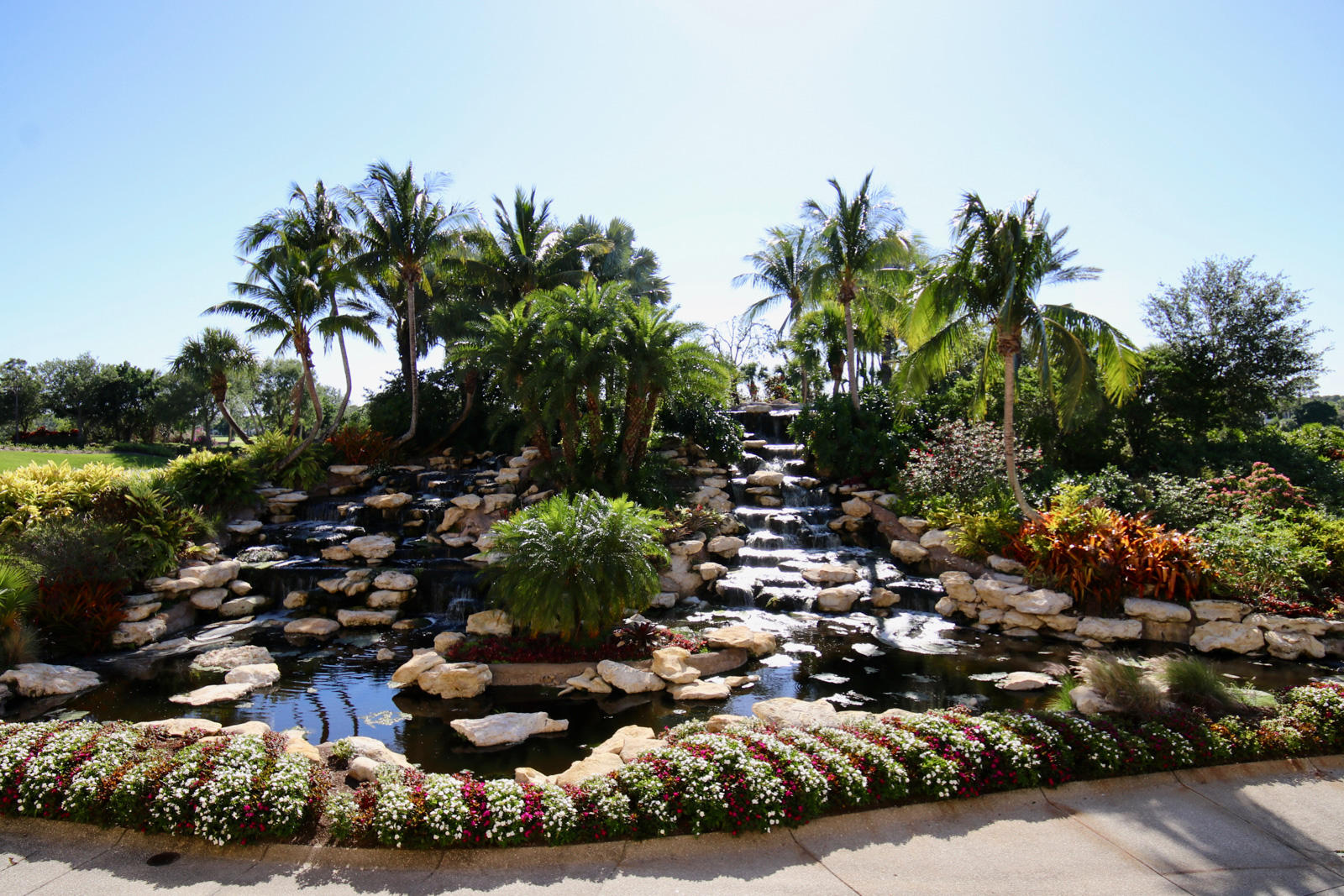 OLD PALM - Residential