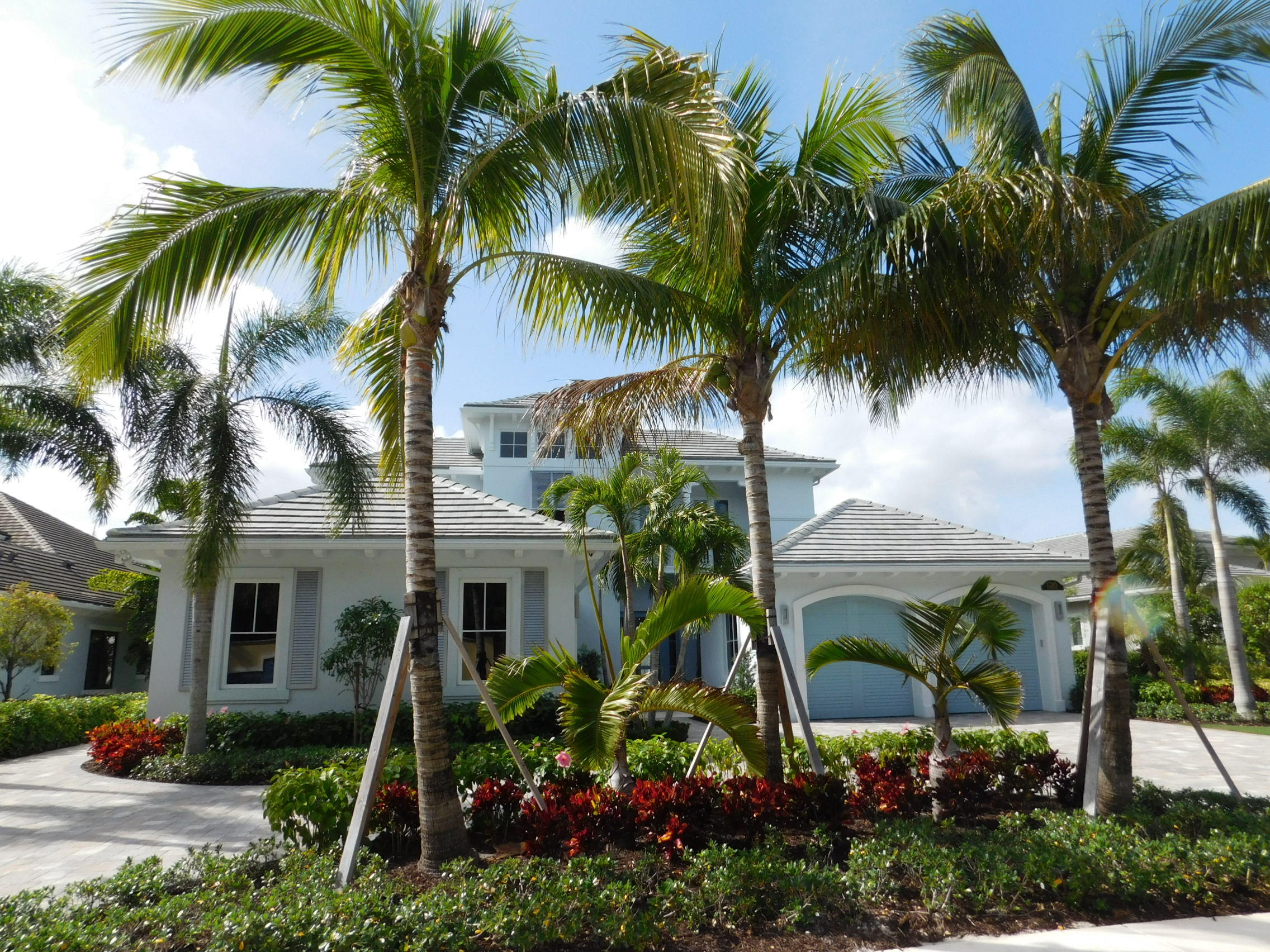 OLD PALM - Residential