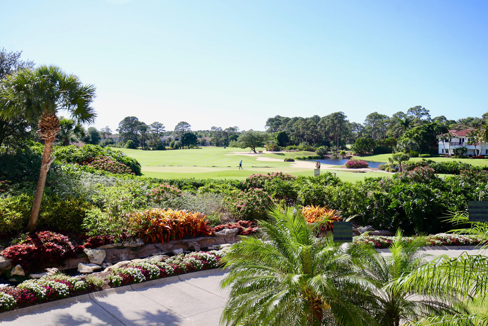 OLD PALM - Residential