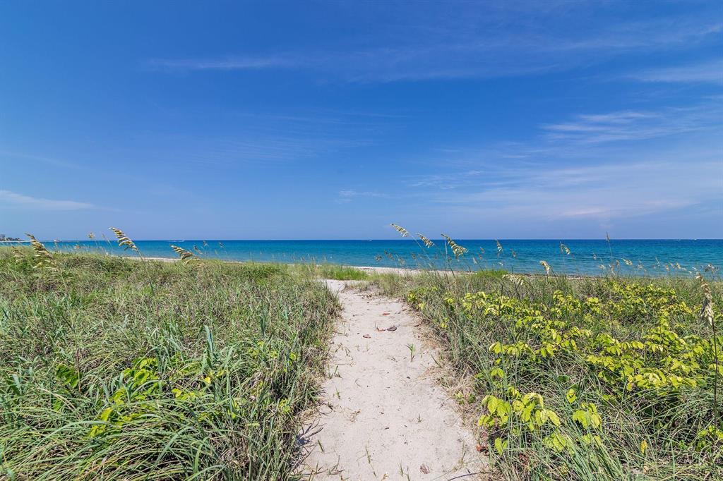 OCEAN TERRACE - Residential