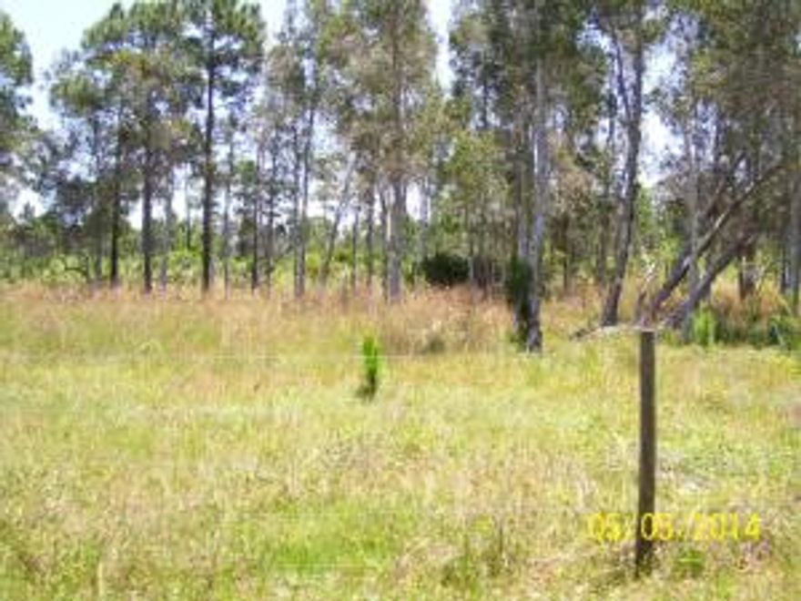 This is an agricultural tract of land. It is currently leased annually for cattle grazing. Close proximity to I-95.