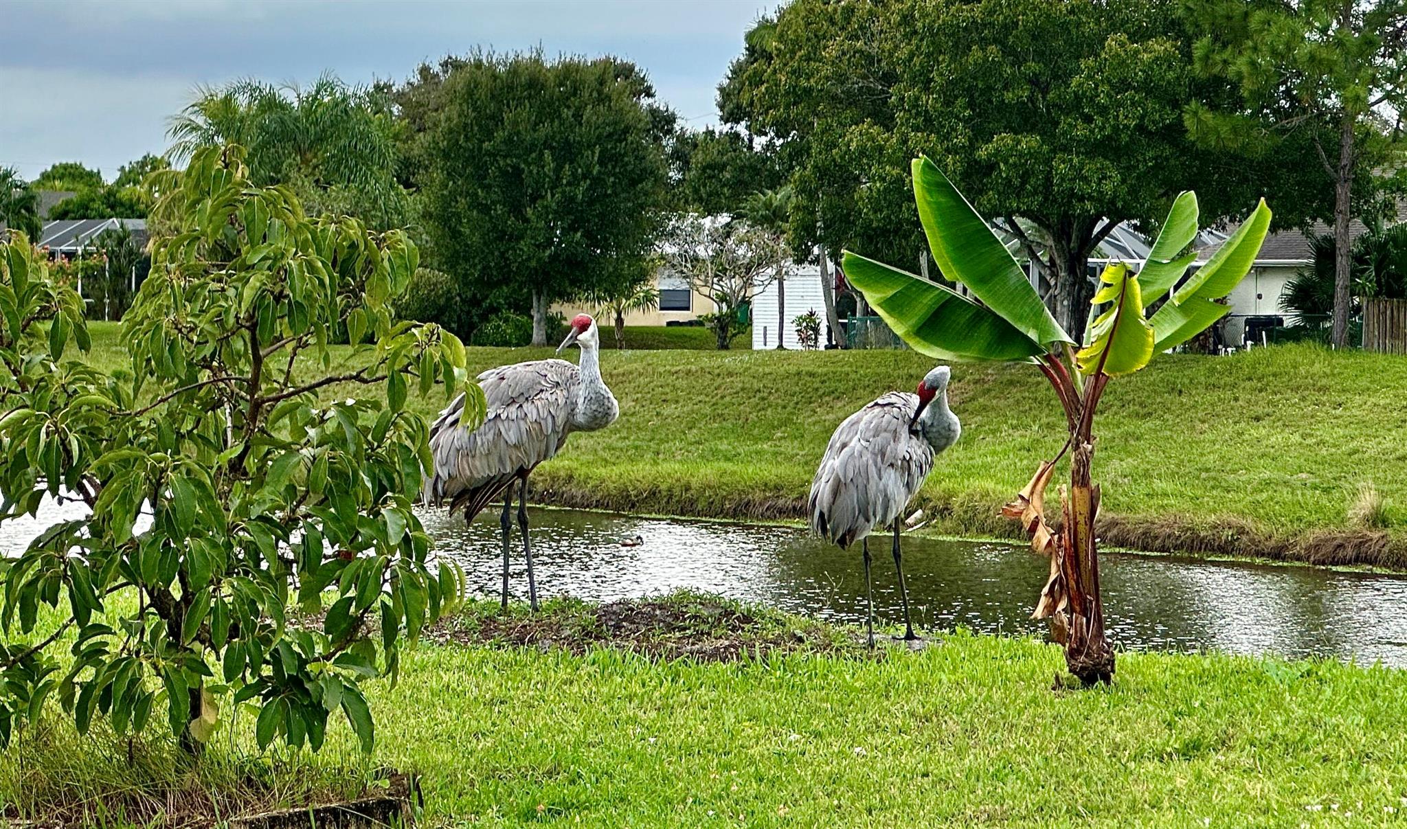 PORT ST LUCIE SECTION 36 - Residential