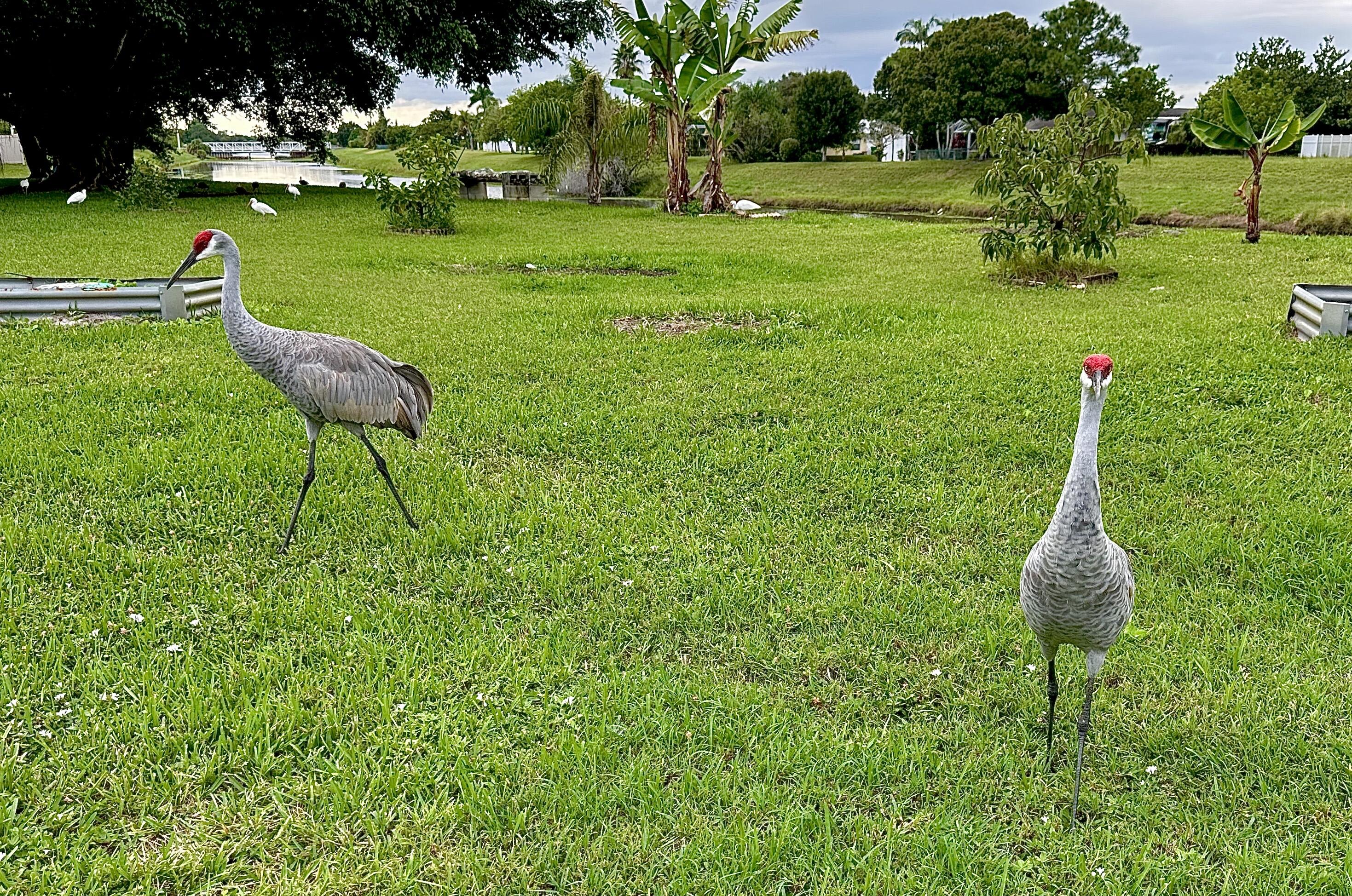 PORT ST LUCIE SECTION 36 - Residential