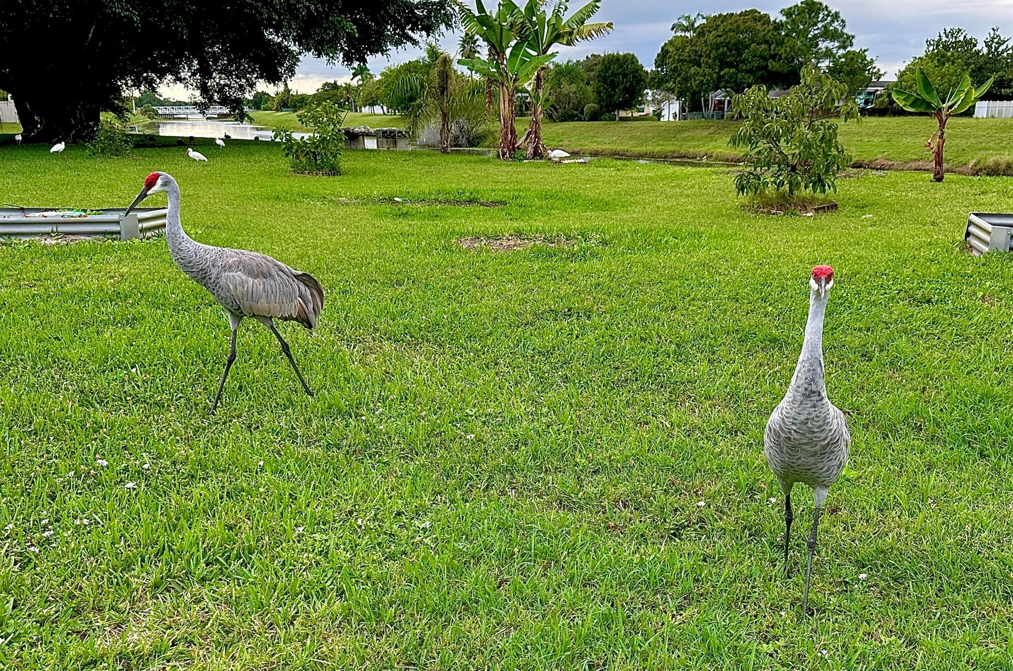 PORT ST LUCIE SECTION 36 - Residential