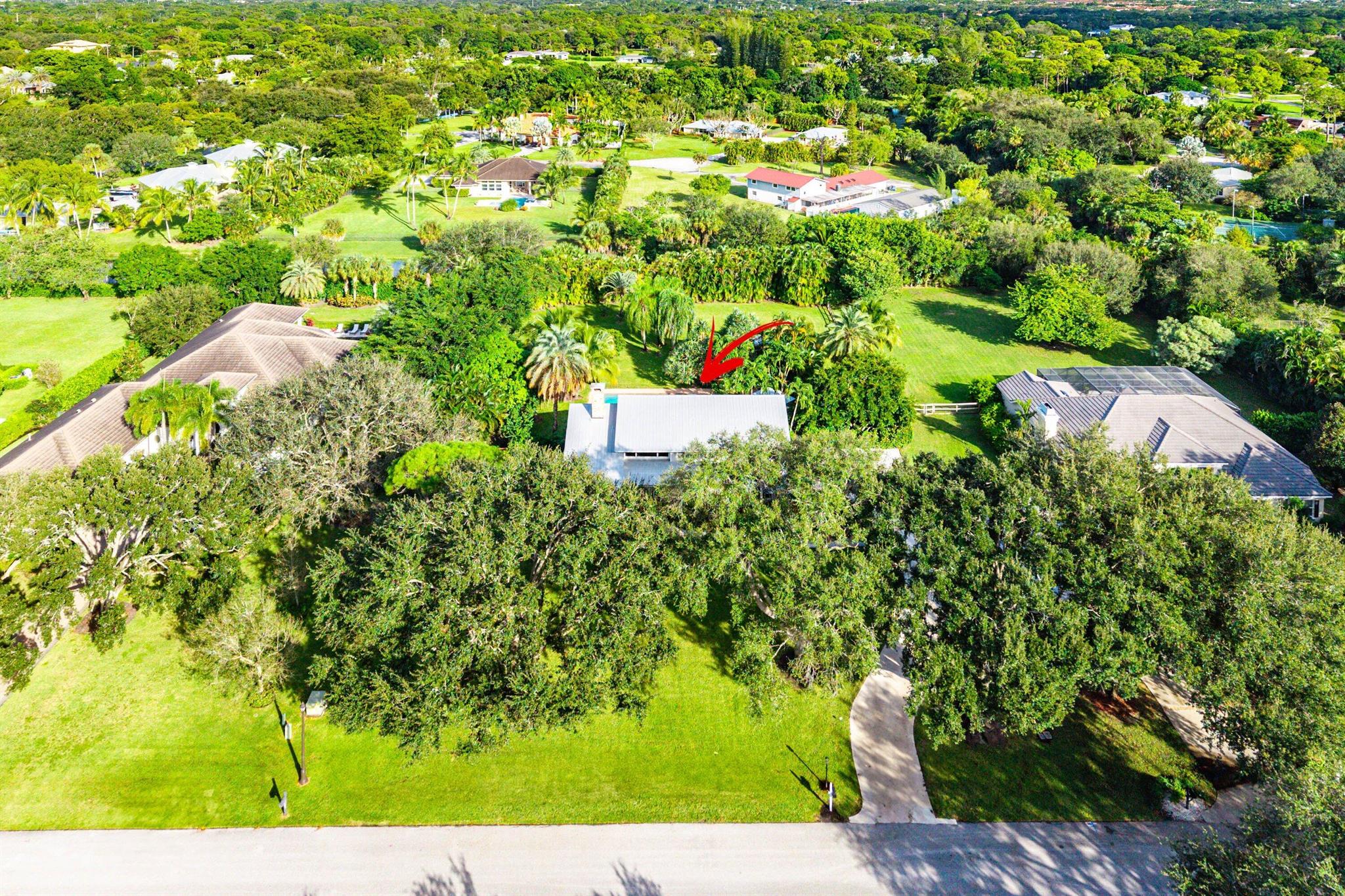 STEEPLECHASE - Residential