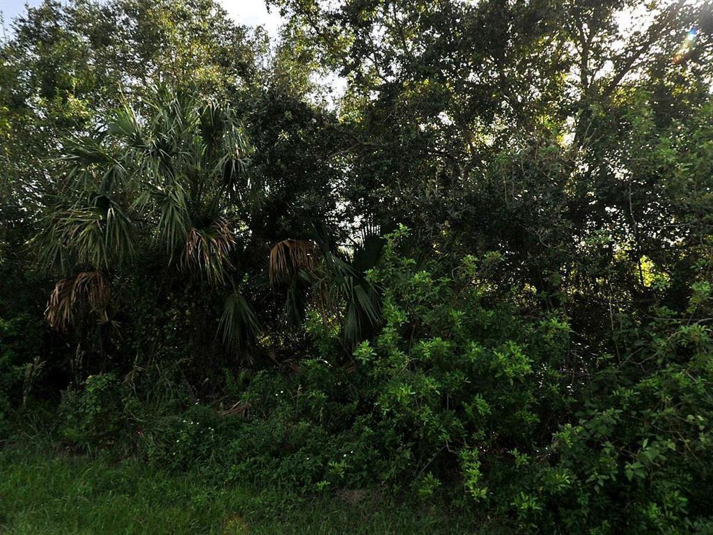 Nice oversized corner lot! Located in a great neighborhood. Within walking distance to schools and parks! Minutes to I-95, Crosstown and Turnpike.Lot SqFt: 11,326Acres: 0.26
