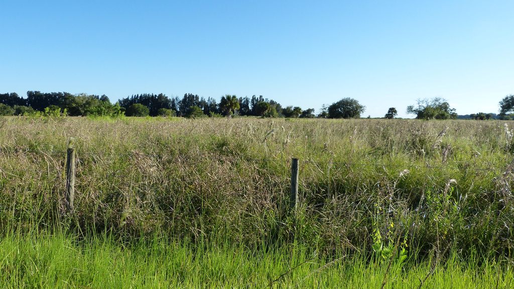 Photo of 2 Pineapple Lane, Fort Pierce, FL 34945 (MLS # B26000122)