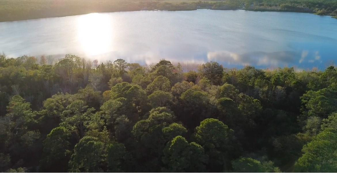 Orange Blossom Estate - Land